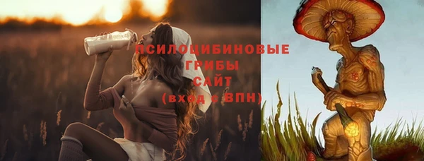 индика Балахна