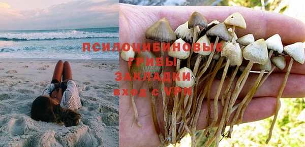 индика Балахна