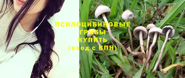 индика Балахна