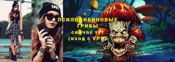 индика Балахна