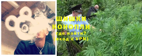 индика Балахна