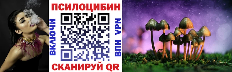 Псилоцибиновые грибы мицелий  Буй 