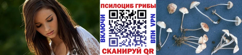 Галлюциногенные грибы MAGIC MUSHROOMS Буй